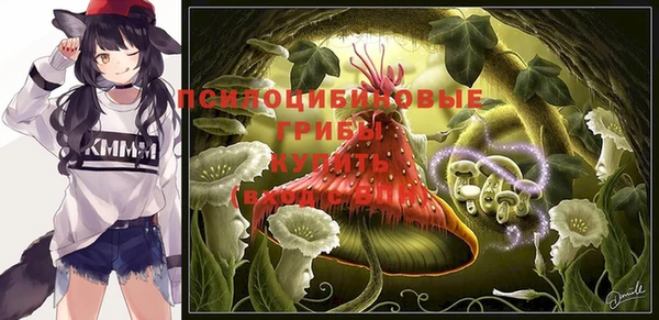 прущий лед Касимов